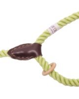 pistachio yan